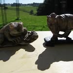 Deborah Kaye Greer - @debkgreer - Instagram