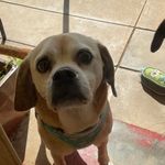 Kaye Gregory - @grannykaye_g - Instagram