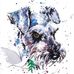 Kay Griffiths - Facebook