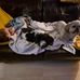 Kay Griffiths - Facebook