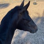 Sharron Kaye Griffiths - @sharron.k.griffiths - Instagram