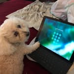 Kaye Hahn - @kaye_hahn - Instagram