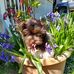 Kaye Hansen - Facebook