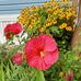 Kaye Hansen - Facebook
