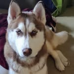 Kaye Hansen - @kdidhansen - Instagram
