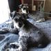 Kaye Harding - Facebook