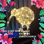 Kaye Harding - @kaye.harding.50 - Instagram
