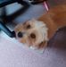 Kay Hoffman - Facebook