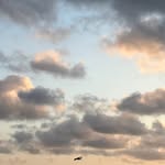 Kate Holt Creative - @kateholtcreative - Instagram
