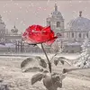 KAYE HOLT - @kaye.holt6 - TikTok