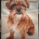 Kaye Howard OBryan - @kayeobryan5 - Instagram