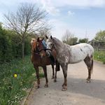 Kaye Hyde - @kaye4328 - Instagram