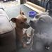 Kaye Ingram - Facebook