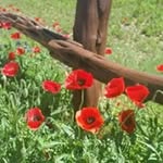 Kay E. Jansen - @kay.e.jansen.1 - Instagram