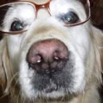 Kaye Johnston - @kayejohnston61 - Instagram
