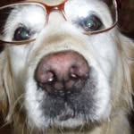 Kaye Johnston - @kaye.johnston.18 - Instagram