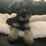 Kaye Keith - @kayekeith02 - Instagram