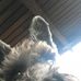 Kaye Keith - Facebook