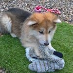 Keith Kaye - @keithkaye49 - Instagram