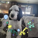 Brenda Kaye Kern - @brenda.k.hopf - Instagram