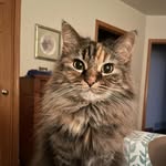 Kaye K. Lystad-Kirk - @kklkirk - Instagram