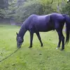 Kay Knox - @kay.knox4 - TikTok