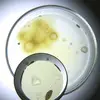 minta_heide_wunder85 - @kaye.koch6 - TikTok