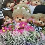 Kaye Lam - @lam.kaye - Instagram