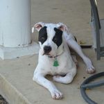 Lavonda Kaye Gates Lambert - @kaye.lambert - Instagram