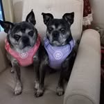 Kaye Lang - @kayelang2 - Instagram