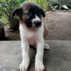 Kaye langit - @kayelangit - TikTok