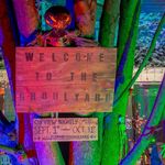 Kaye Family Light Displays - @kayefamilylightdisplays - Instagram