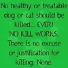 Dog Lady ! - @kayelipscomb526 - TikTok