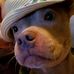 Kaye Lyons - Facebook