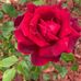Kaye Major - Facebook
