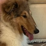 Kaye Scott Manley - @mkmsam13 - Instagram