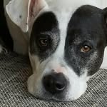 Kay Marks - @munchkay - Instagram