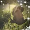 kayemarquez7765 - @kayemarquez7765 - TikTok