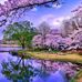 Kareena Kaye McBride - Facebook