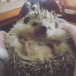 Kate McBride - @kate.mcbride.378 - Instagram