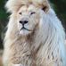 Kaye McDaniel Wise - Facebook