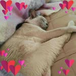 Kaye Mitchell - @kaye.mitchell.39 - Instagram