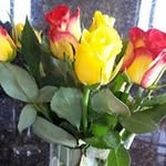 Kaye Mitchell - @kaye.mitchell.737 - Instagram