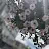 Kay Mohammed - @kaymohammed38 - TikTok