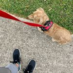 Kaye - @kaye.morton - Instagram