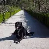 kayenelson6 - @kayenelson6 - TikTok