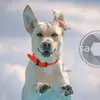 kayenoble - @kayenoble - TikTok