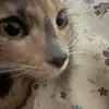 Maddie - @kayenorth - TikTok