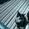 Kay Oconnor - @kayoconnor - TikTok