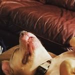 Kaye Thompson O'Donnell - @mammakaye68 - Instagram